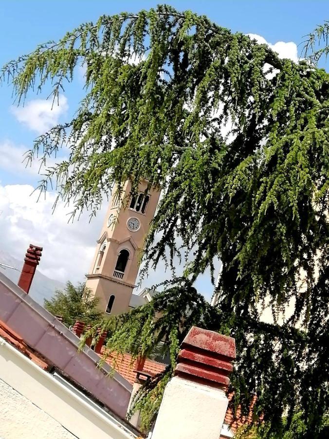 Risorgimento Hotel Avezzano Eksteriør billede